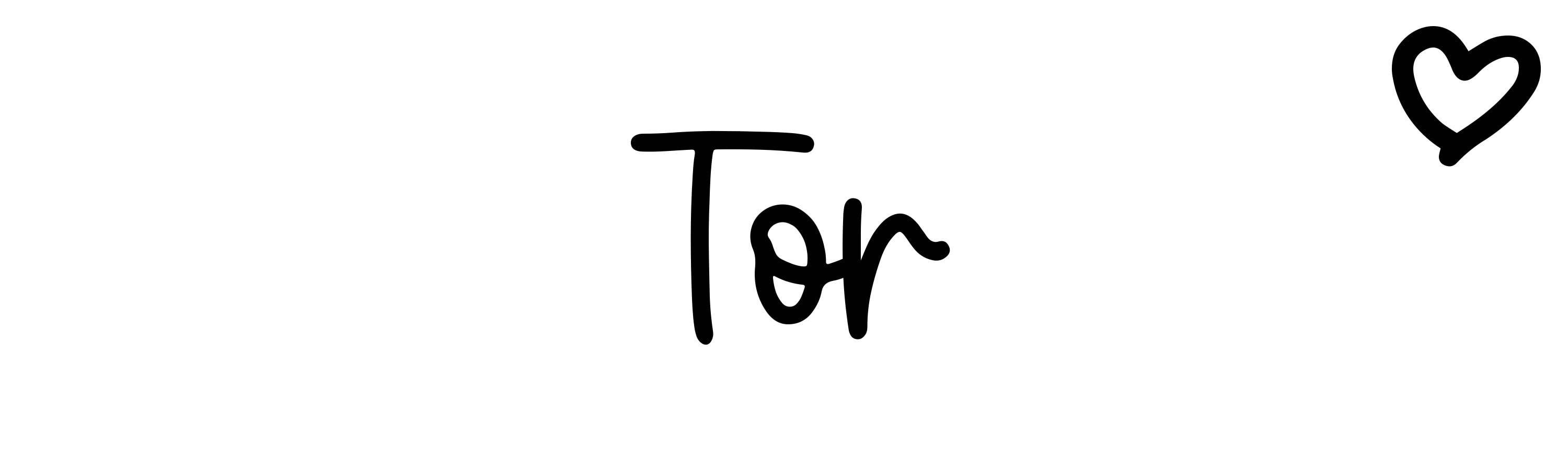 tor meaning in english